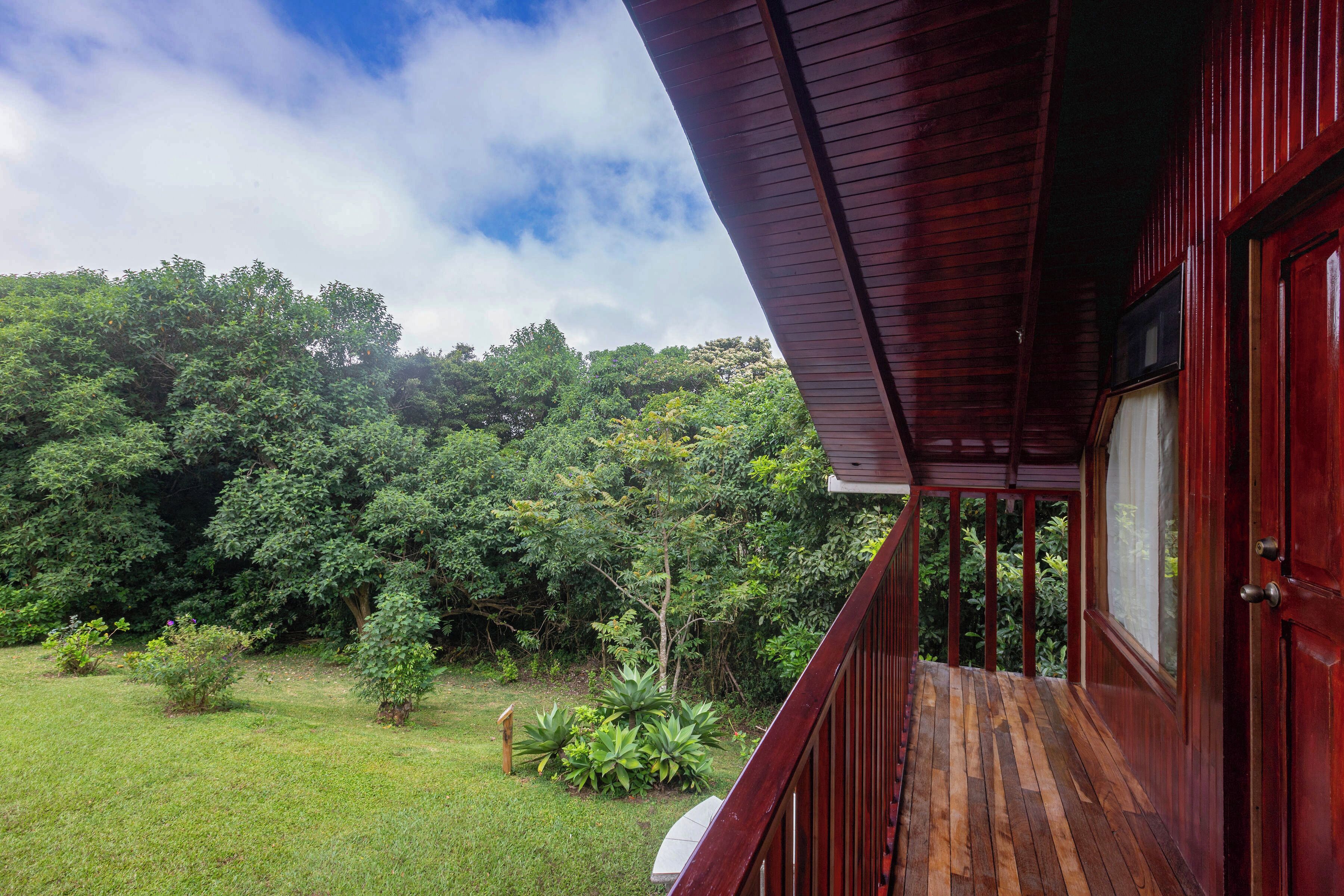 A wooden deck with a view of lush greenery and trees.