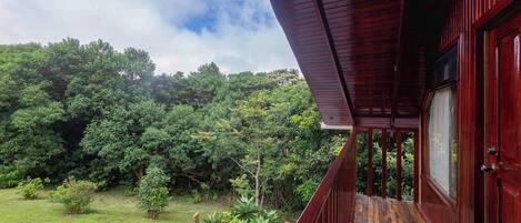 A wooden deck with a view of lush greenery and trees.