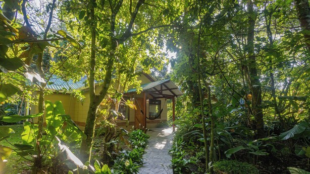 A pathway leading to a yellow building with a blue roof, surrounded by lush greenery.