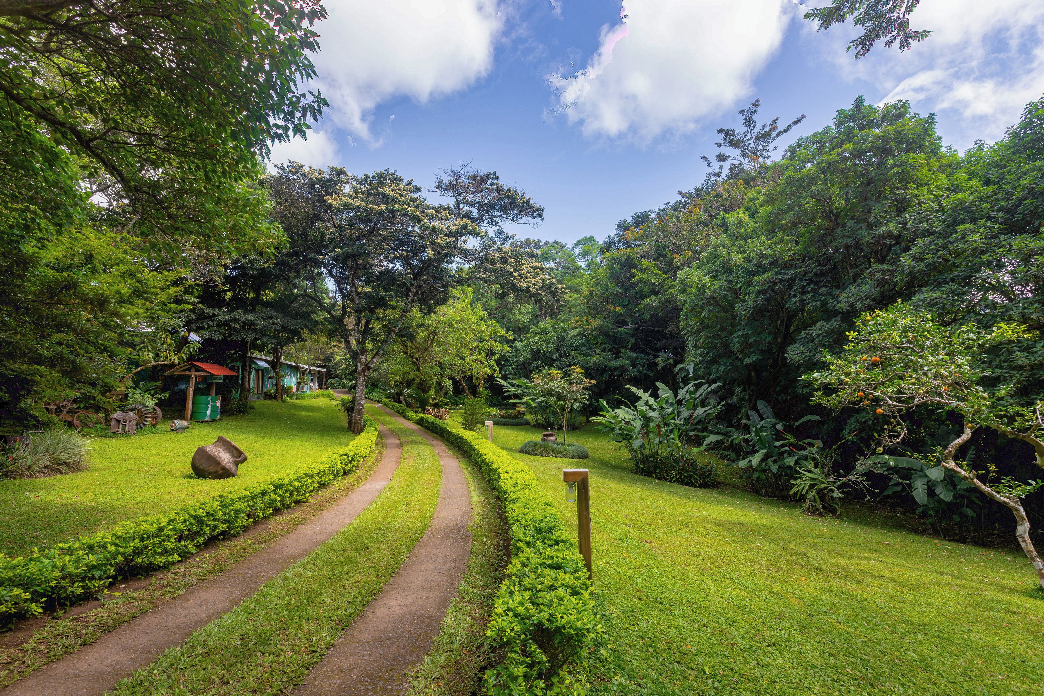 Garden