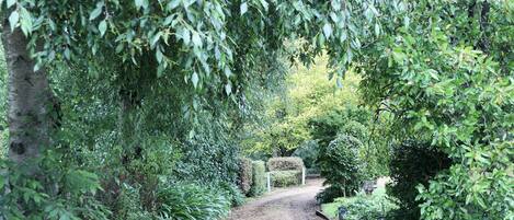 A dirt path surrounded by dense greenery and trees.