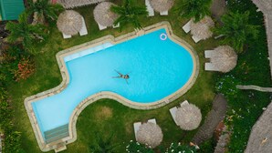Vista aérea de una piscina rodeada de césped y palmeras.