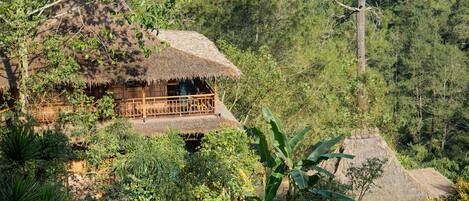 A thatched-roof structure with a wooden balcony, surrounded by dense greenery and trees.