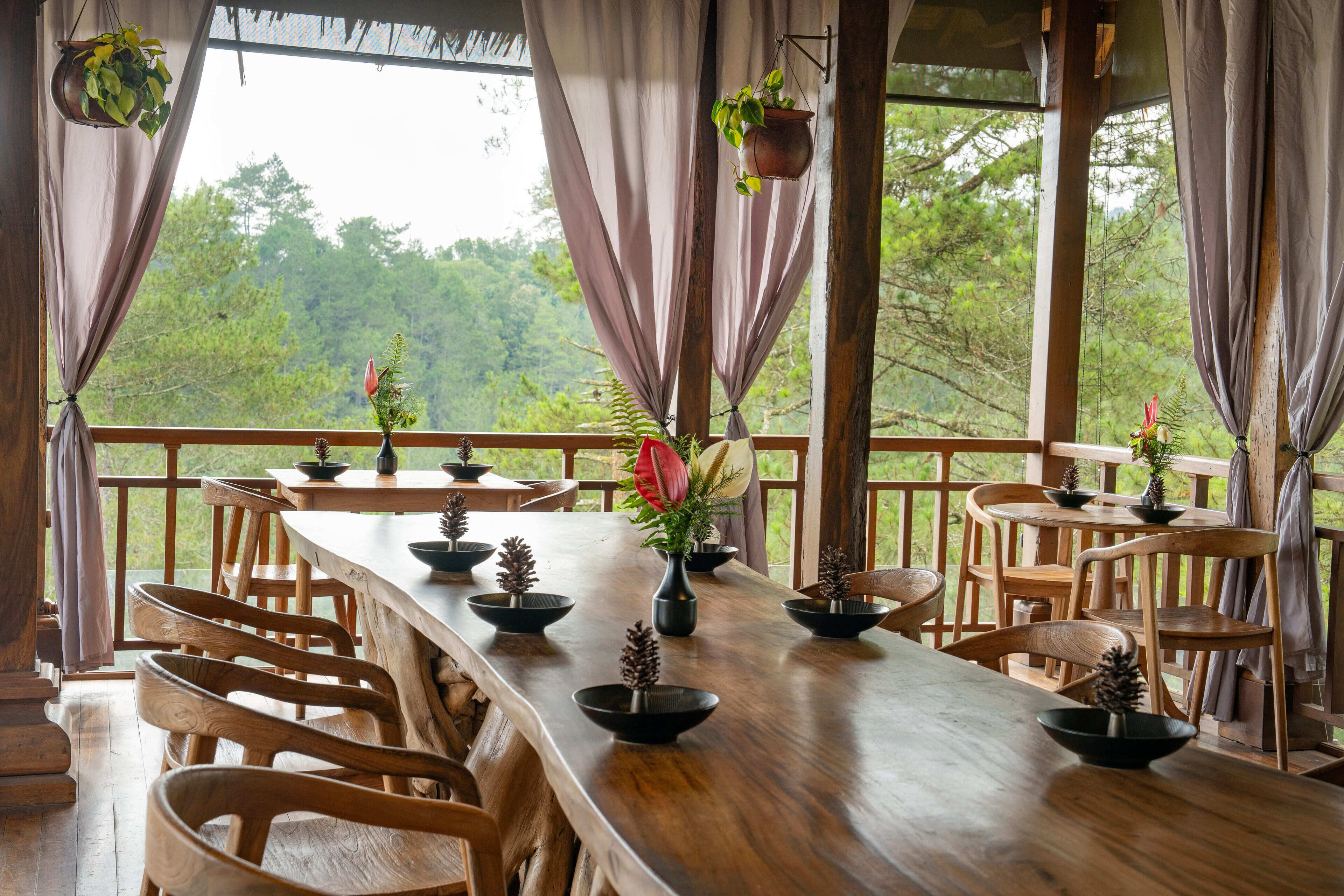 A long wooden dining table with chairs, surrounded by large windows with curtains, and potted plants on the windowsills.