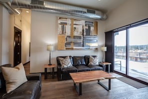 TV, fireplace, books