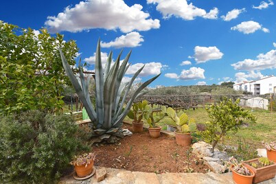 House 2148/52017 (Istria - Stinjan), 800m from the beach