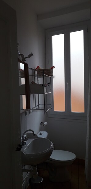 Shower, hair dryer, toilet paper