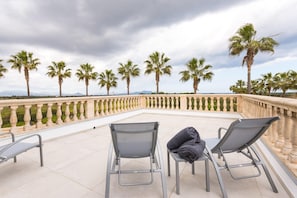 Terras