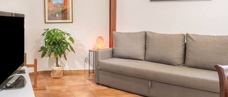 A living room with a sofa, a TV, a plant, and two framed pictures on the wall.