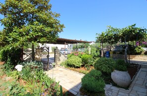Um jardim com diversas plantas e um caminho de pedra que leva a um portão.