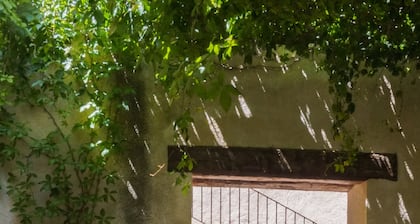 Moli Hospital rural house superior category