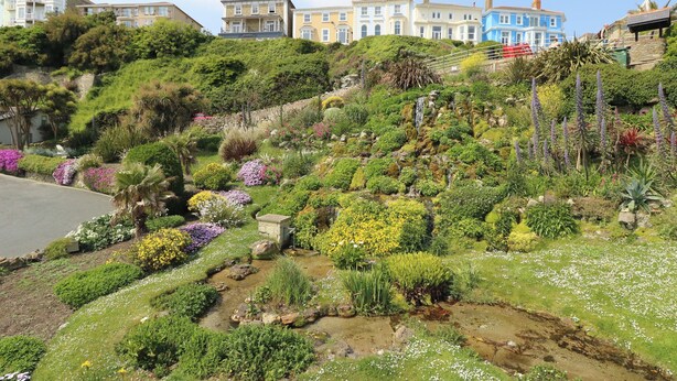 A hillside garden with diverse plant life and a row of colorful buildings in the background.