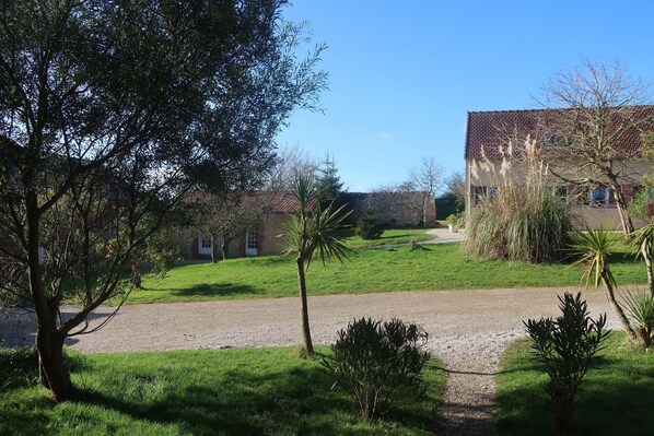 A rural property with a gravel driveway, a grassy lawn, and a stone wall.