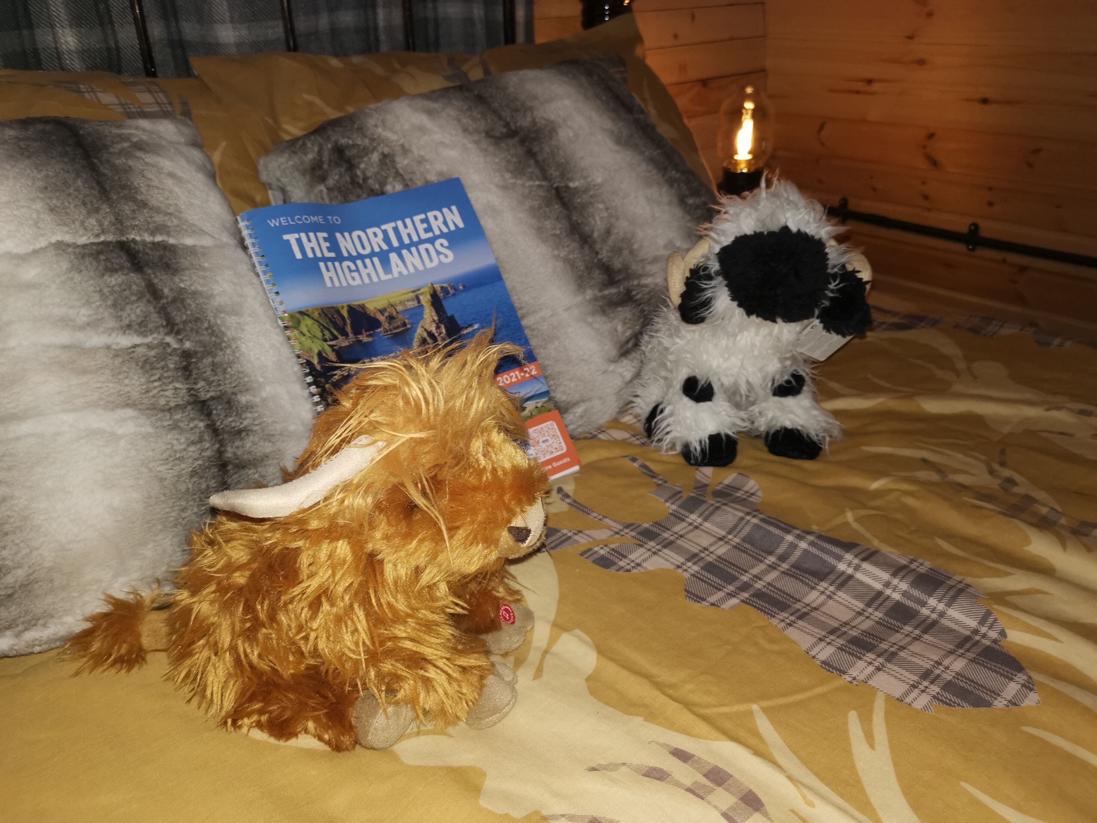 A bed with a book titled "The Northern Highlands" and a stuffed animal.
