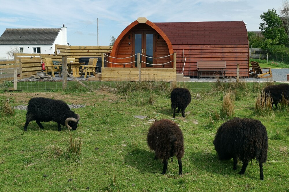 Achmeney Glamping Pod Larger Than Average Pod