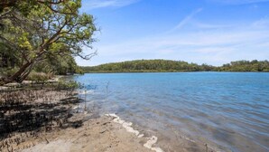 A natural landscape with a sandy beach, clear water, and dense greenery in the background. - Lakeside Lodge - Fabulous Waterfront Holiday (Laurieton)