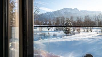 Vue sur les montagnes