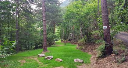 Rentals at our nature campsite with large spring-water swimming pool