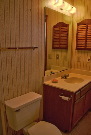 A bathroom with a toilet, sink, and mirror. - 2203  Hot tub, sauna & more resort amenities - Cozy Cub Adventure Cabin (Beech Mountain)