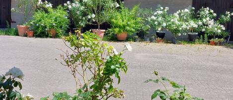 Details aan de buitenkant