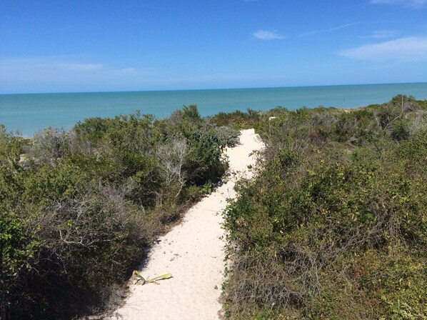 A sandy path leading to a beach with dense vegetation on either side.