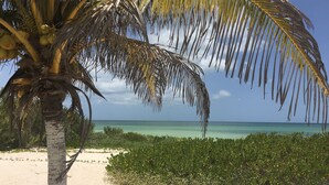 A beach scene with a palm tree and clear turquoise water.