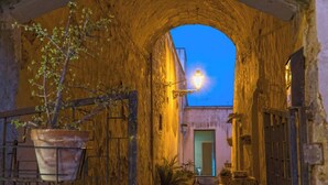 An arched stone corridor with hanging planters and a street lamp, leading to a building entrance.