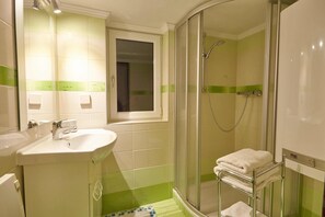 Shower, towels, toilet paper