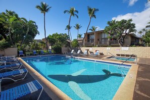 Pool - Great Kihei Location- Near Beach, Shopping, and all Kihei has to offer! (Kihei)