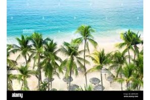 Enjoy a serene beachside escape with access to the ocean.