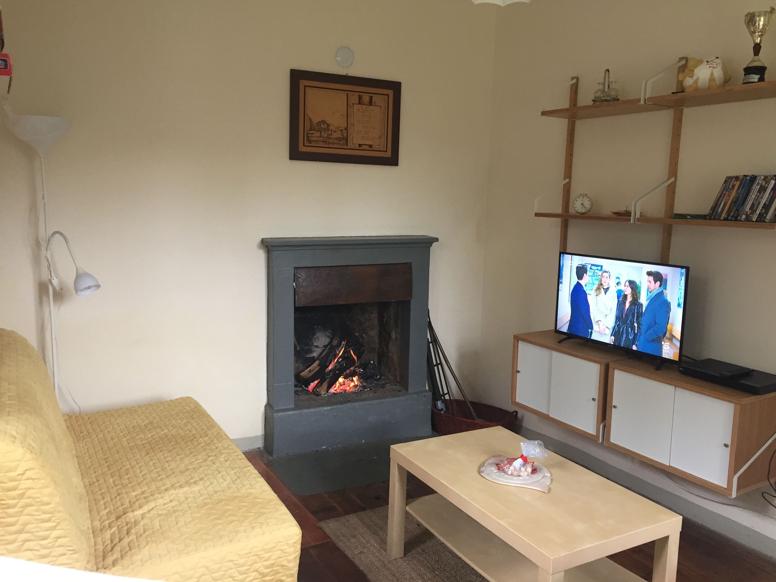 壁炉、DVD 播放器