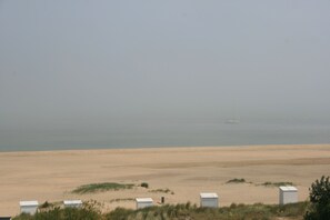 Nära stranden