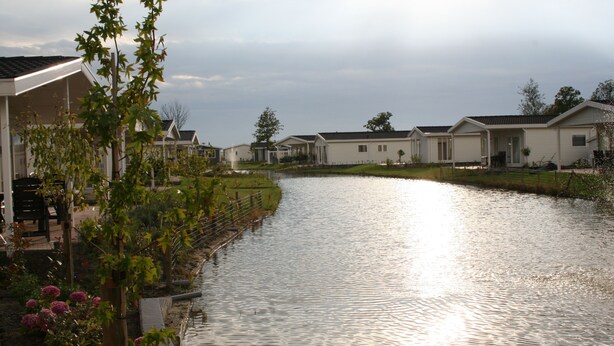 Une rangée de maisons de plain-pied, avec un cours d'eau paisible au premier plan.