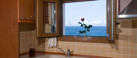 Eine Küche mit Meerblick, einem Spülbecken und einer Rose am Fensterbrett.