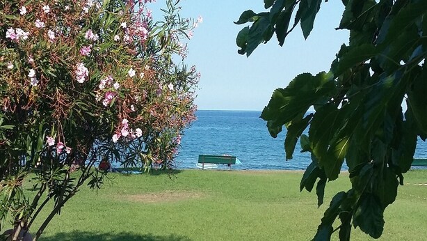 A grassy area with a bench by the water, a tree with pink flowers, and a clear view of the water. - Kazamasavani - Belle maison proche mer ! (Cervione)