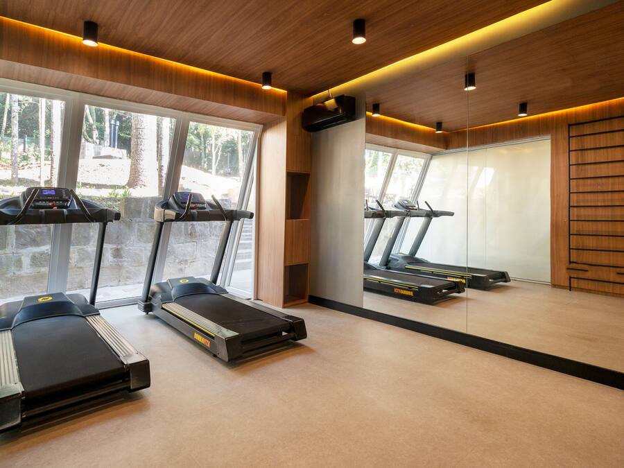 A gym with treadmills, a mirror, and a view of the outdoors.