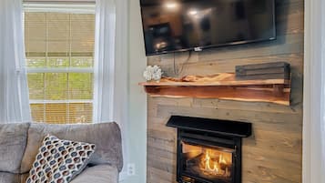 Smart TV, fireplace, books