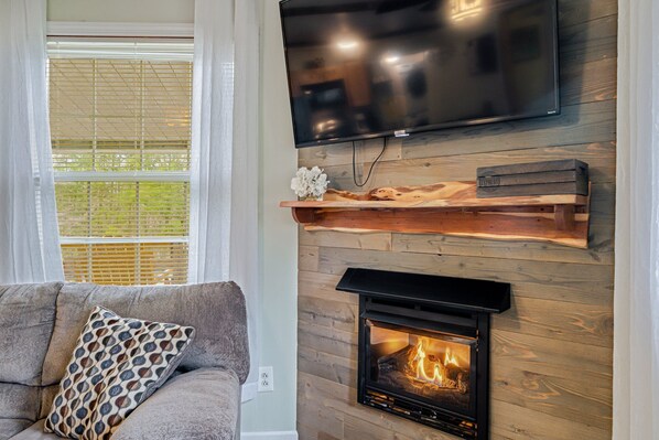 Smart TV, fireplace, books