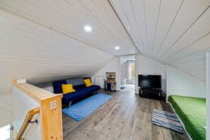 Smart TV, fireplace, books