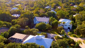 Vista aérea de una zona residencial con casas rodeadas de exuberante vegetación.