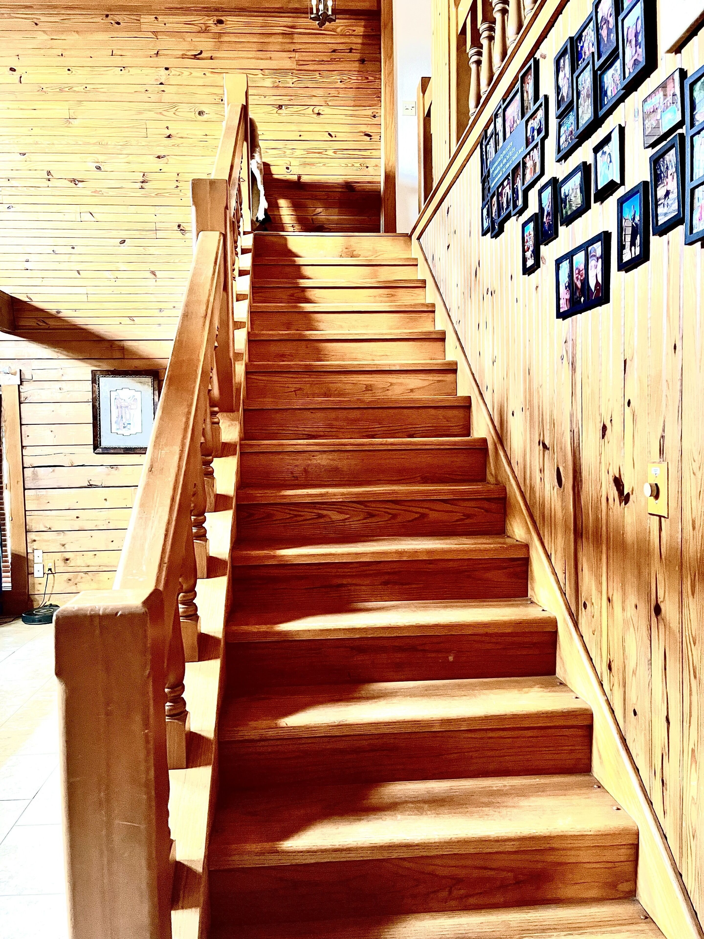 Eine Holztreppe mit Handlauf, Holzwänden und gerahmten Bildern an der Wand.