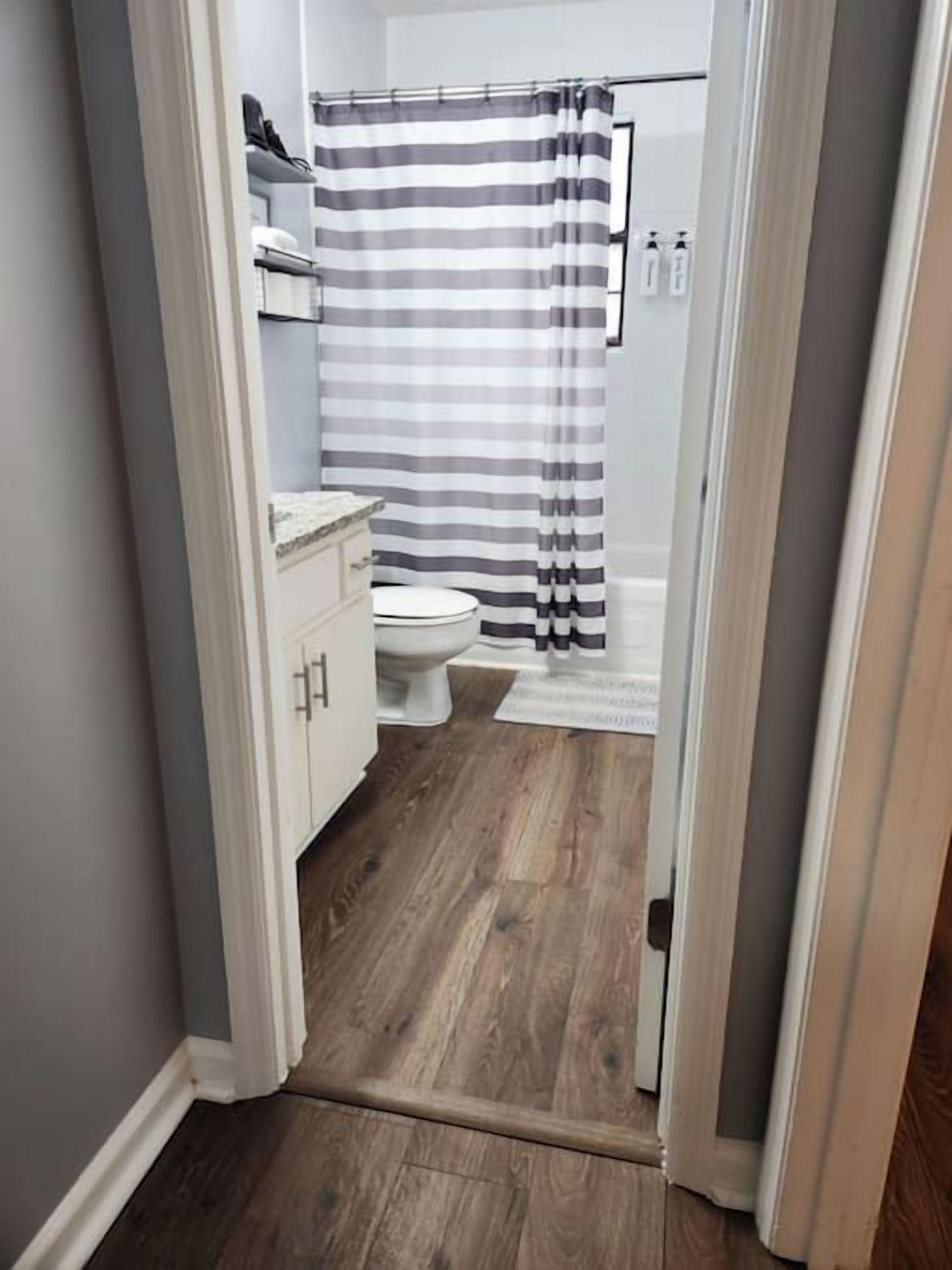 A narrow bathroom with a shower curtain, a toilet, and a cabinet.