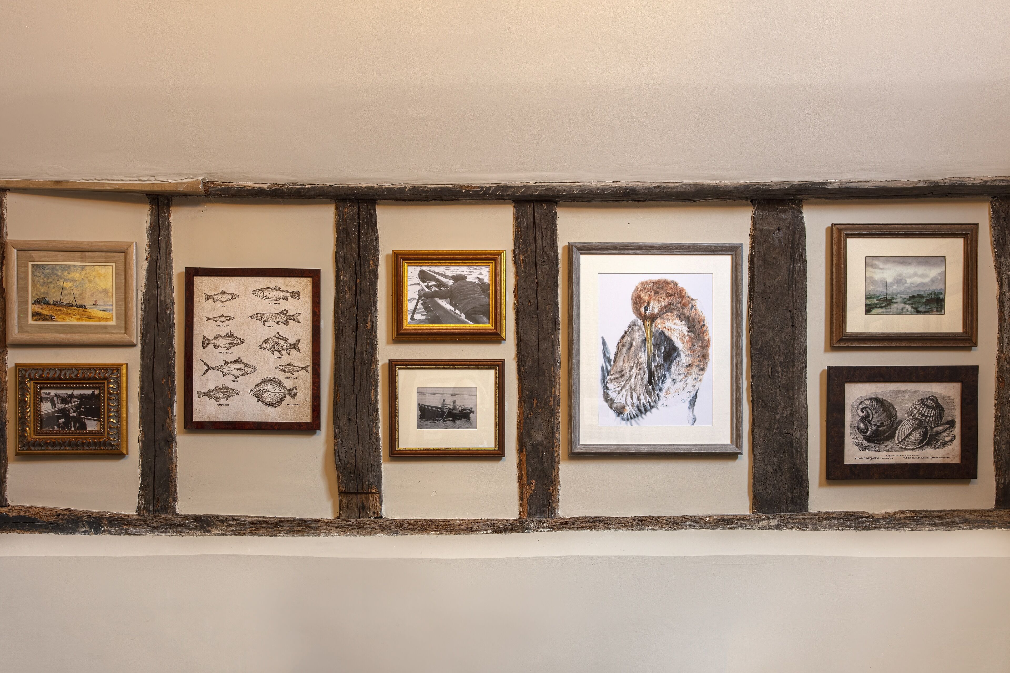 A wall with framed artwork including fish illustrations, a photograph of a person on a boat, and an owl.