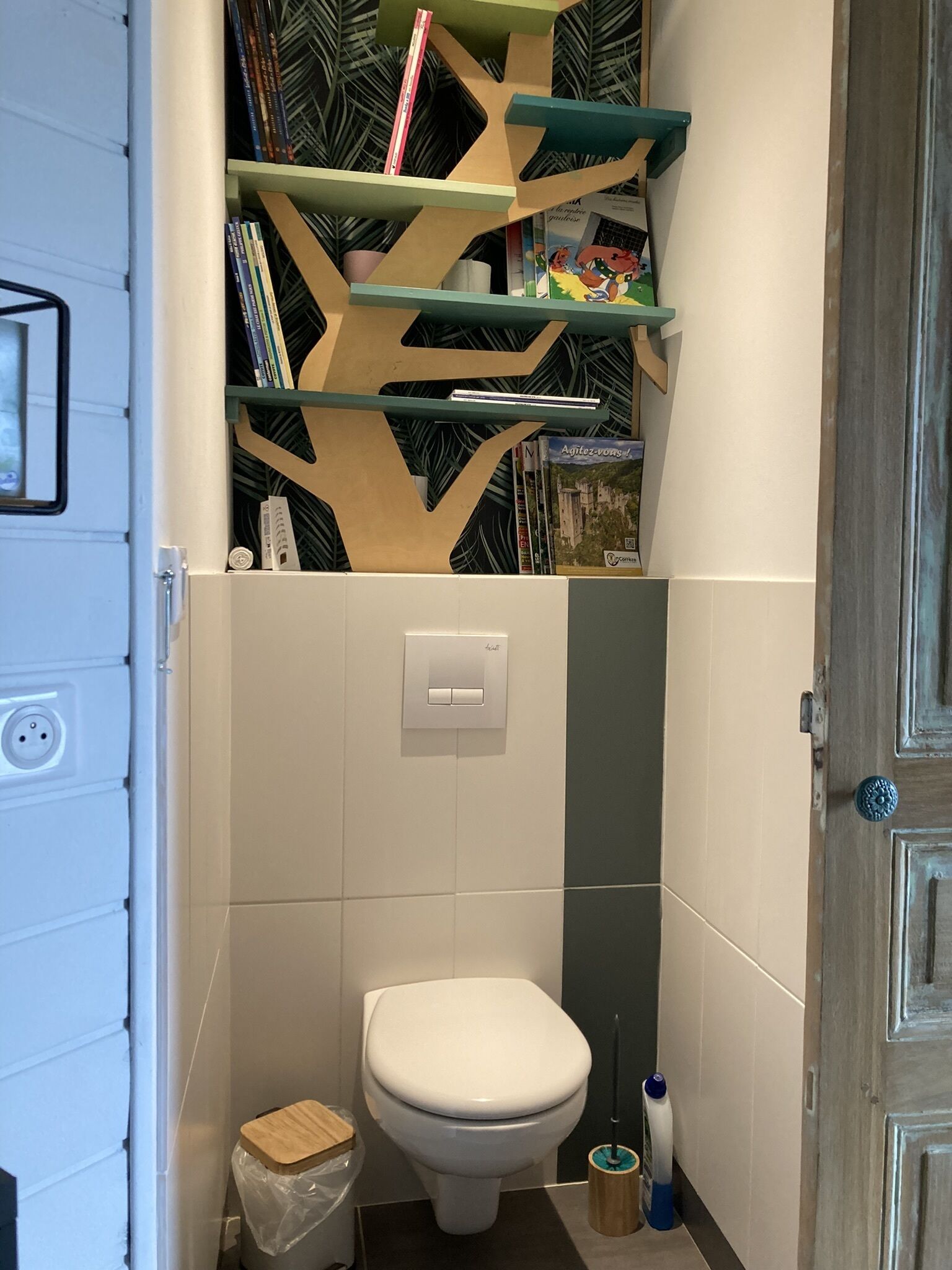 A bathroom with a toilet, a shelf with books, and a wall-mounted light switch.