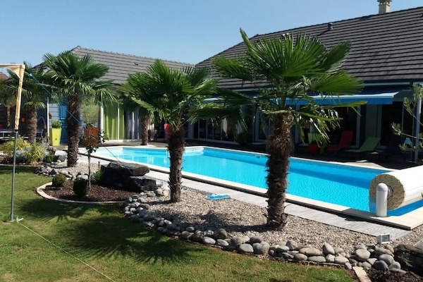 Seasonal outdoor pool, pool umbrellas, sun loungers