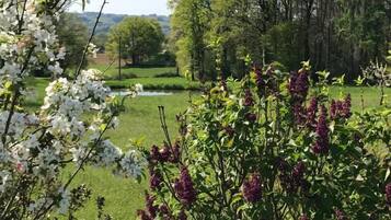 Un paisaje exuberante y verde con diversos árboles y plantas florecientes.