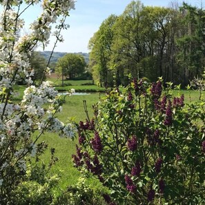 Property grounds - Escale En Correze (Sadroc)