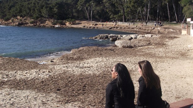 A beach with rocky shoreline, trees, and a clear sky. - Apartment (Saint-Mandrier-sur-Mer)