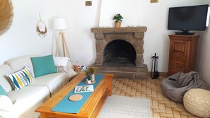 Smart TV, chimenea, reproductor de DVD y libros 