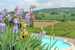 A pool surrounded by lush greenery and fields.